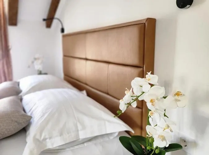 Pensionat Rio Luxury